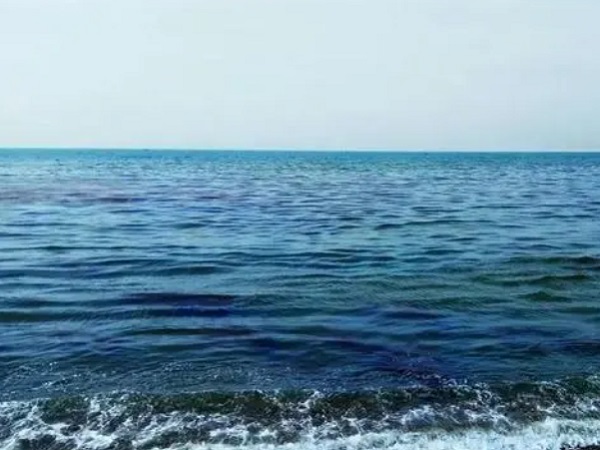 日本核廢水將排海-影響何以估量？